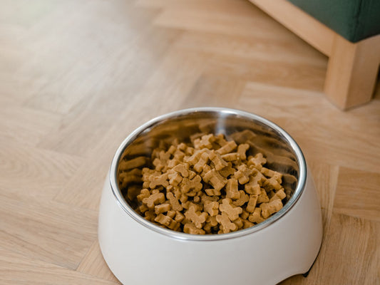 How Many Treats Can a Small Dog Actually Have?