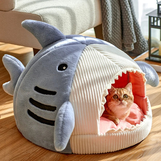 Blue and grey shark cave bed on a wooden floor with a kitten looking out
