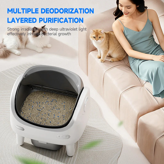 Layered deodorising filtration explained