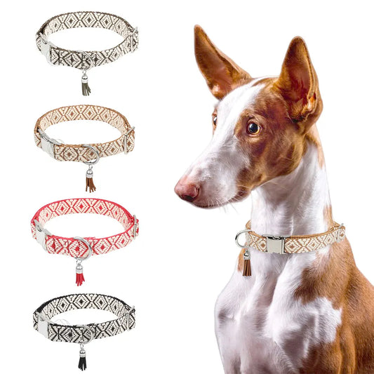 Jacquard pattern dog collars in four colours with a dog wearing one