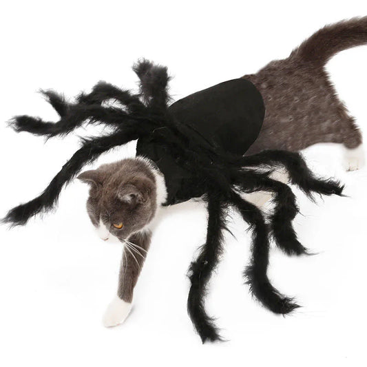 A cat walking in the tarantula costume, seen from the side