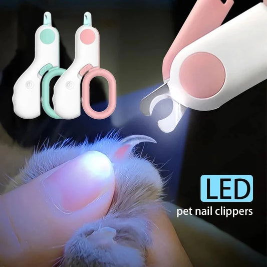 The LED nail clipper lighting up a cat's paw in a dark room
