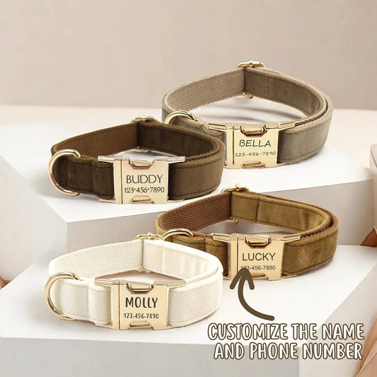 Personalised velvet dog collars in four colours with engraved buckles