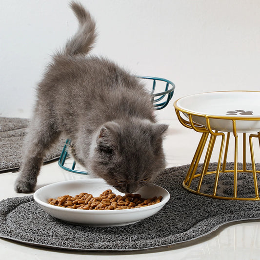 Kitten eating from a wide shallow dish on a gold stand