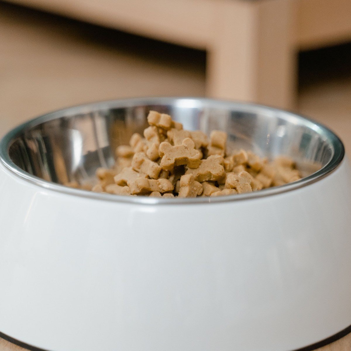 Pet Bowls