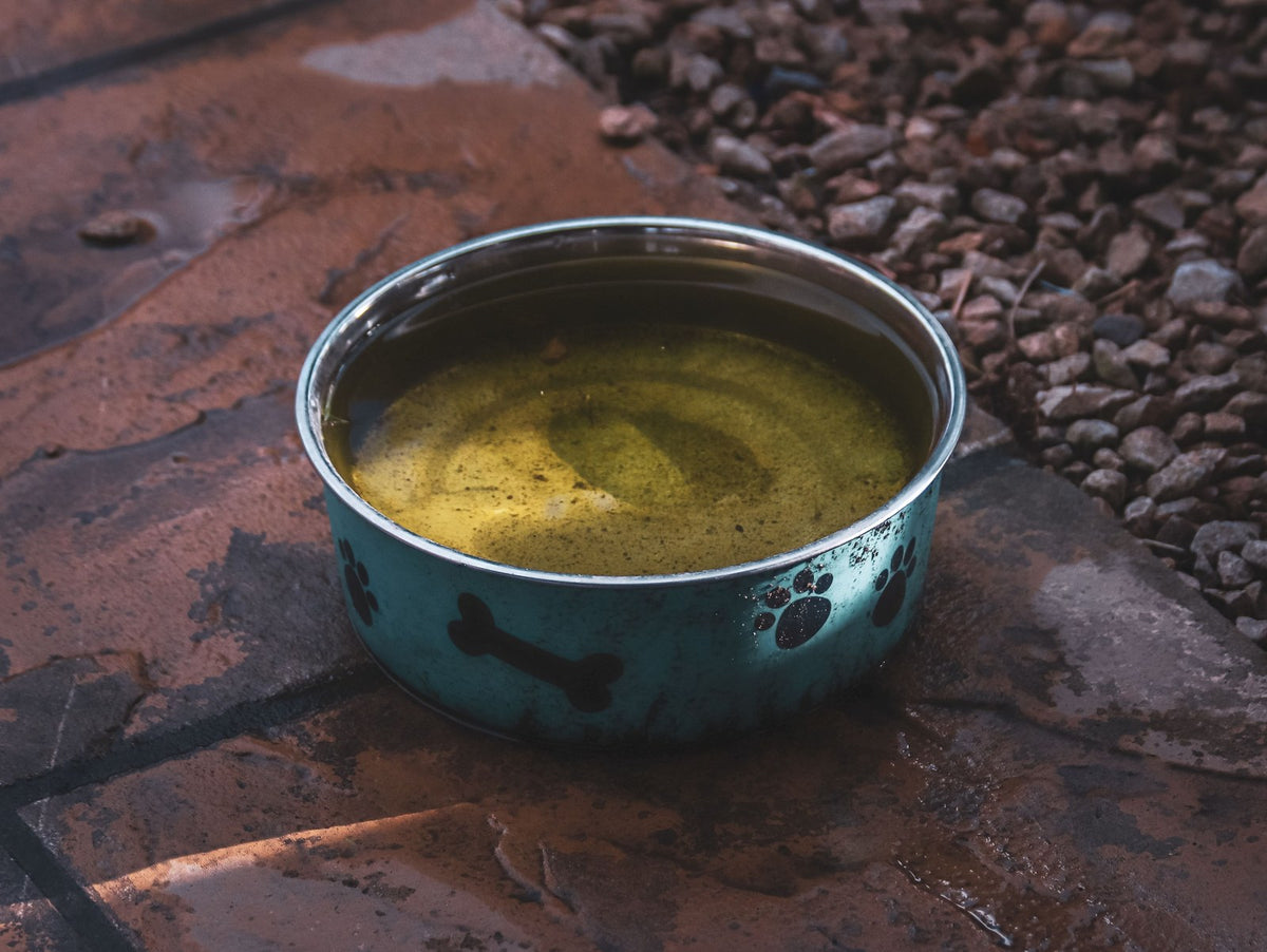 Pet Bowls