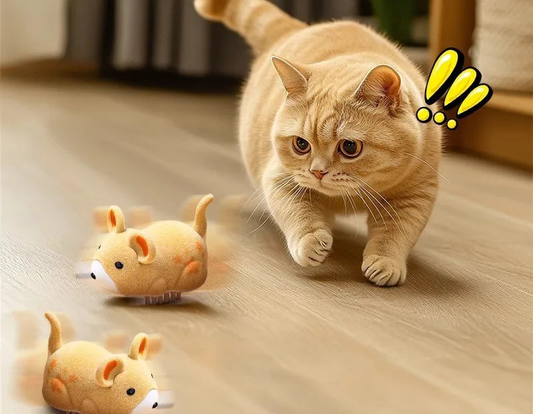 A ginger cat stalking two electric toy mice across a wooden floor