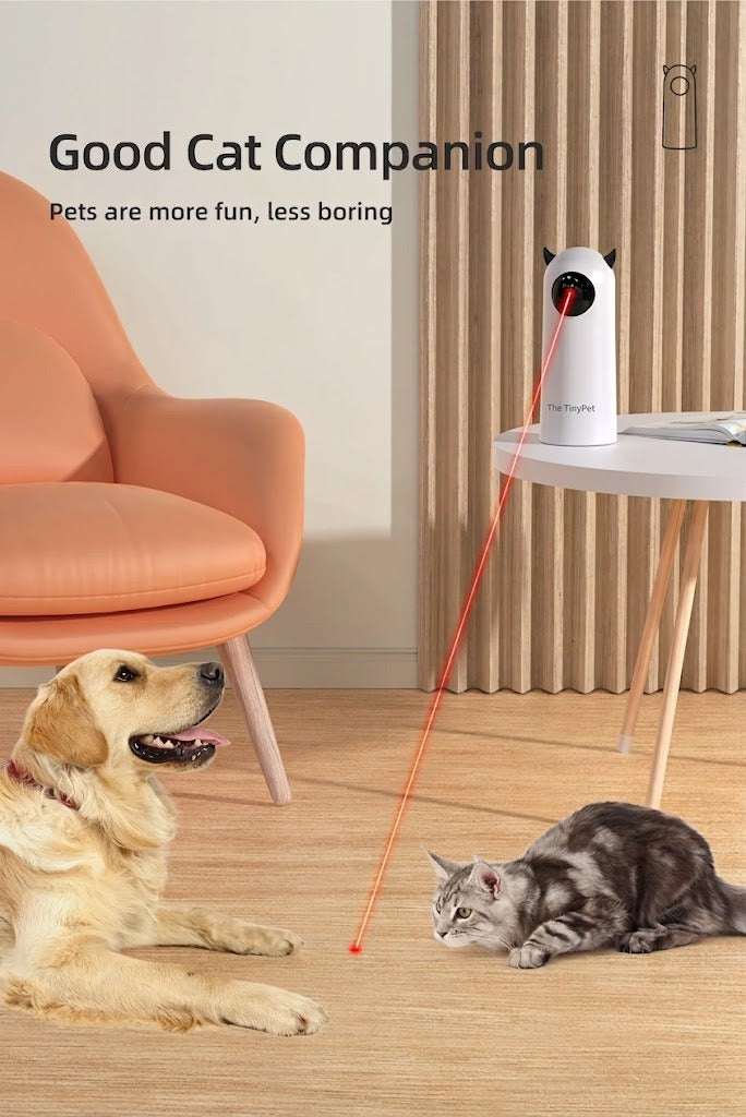 Supplier photo of a dog and a cat with the laser. We recommend it for cats only