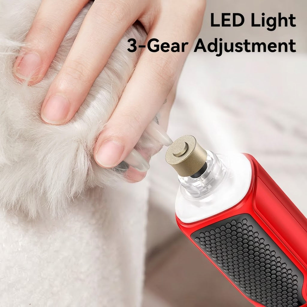 The LED light shown at three brightness levels on a dog's paw