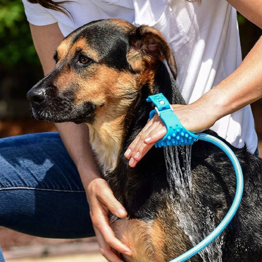 Person washing a German Shepherd with the blue massage brush sprayer