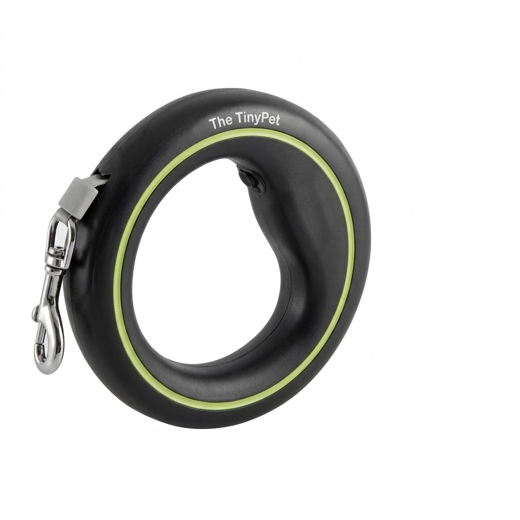 Black ring leash with a green band, shown from the front