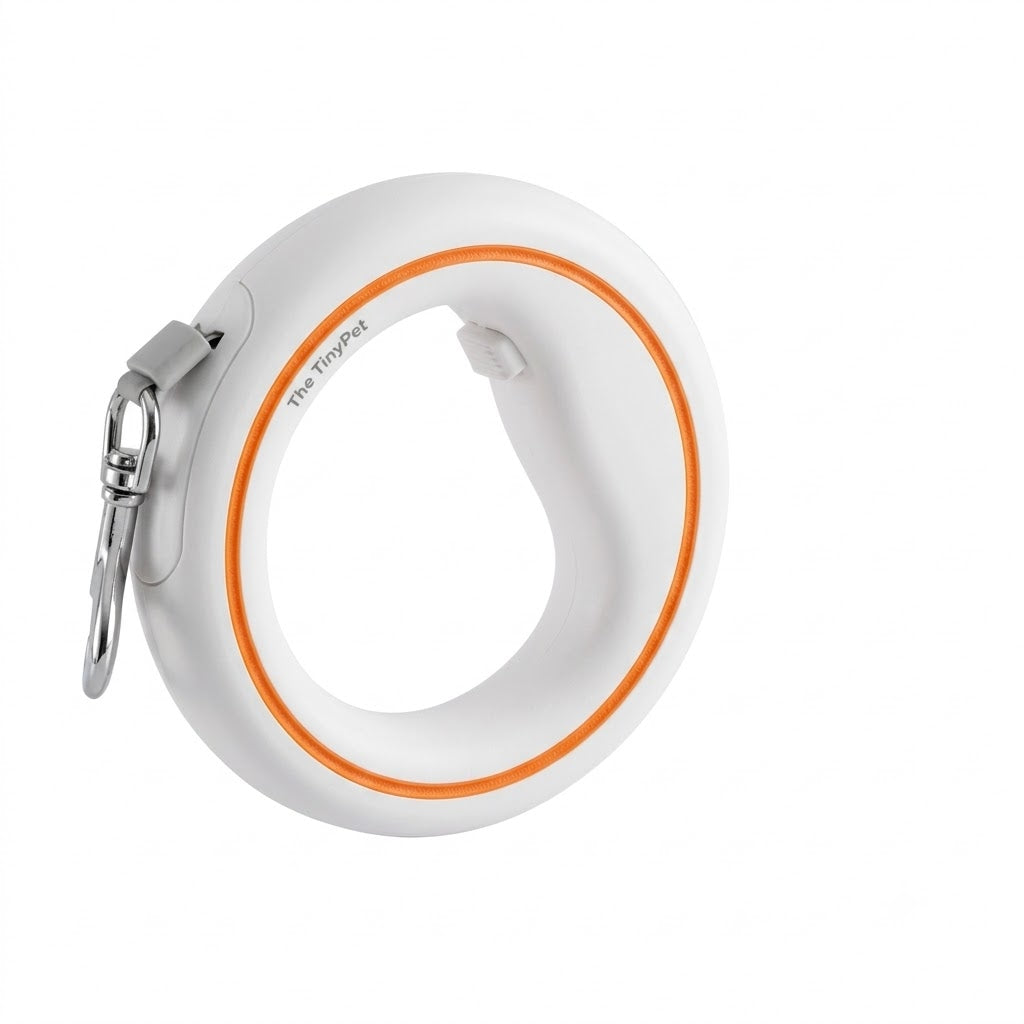 White ring leash with an orange band, shown from the front
