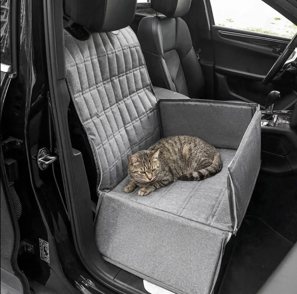 Grey car seat carrier fitted in a car with a tabby cat asleep inside it