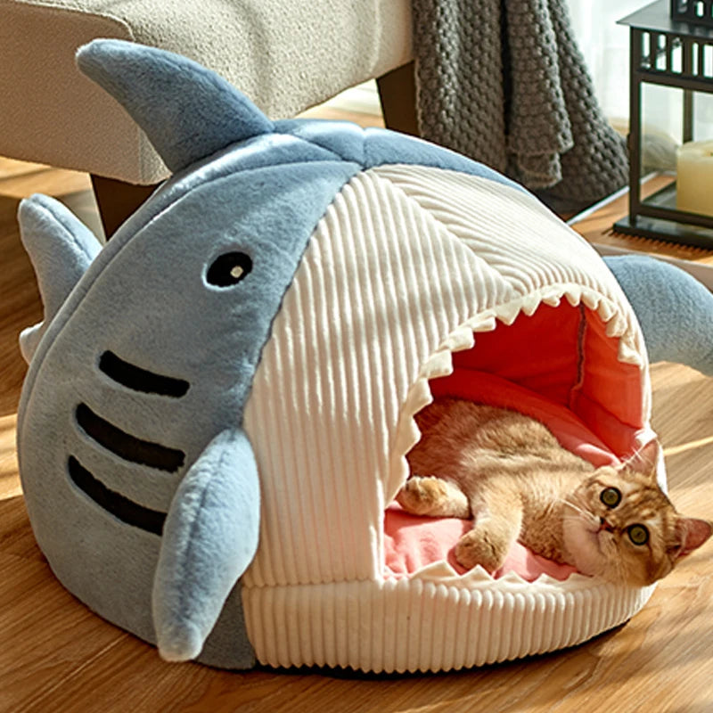 Blue shark cave bed on a living room floor beside a lantern