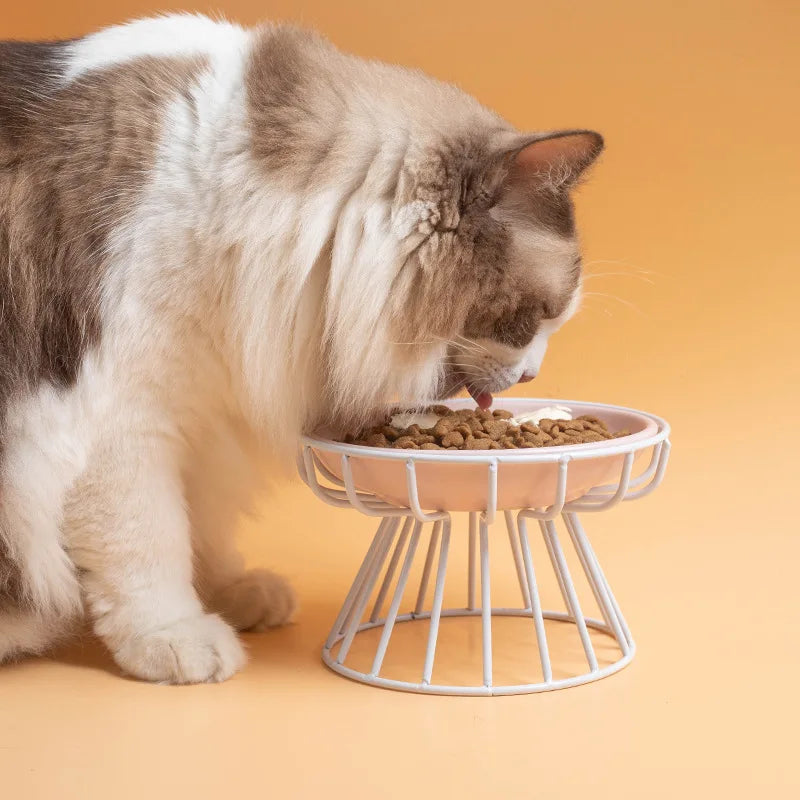Long-haired cat eating from a raised ceramic plate