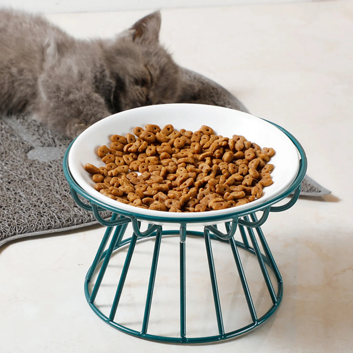 White ceramic dish on a teal iron stand with dry food in it