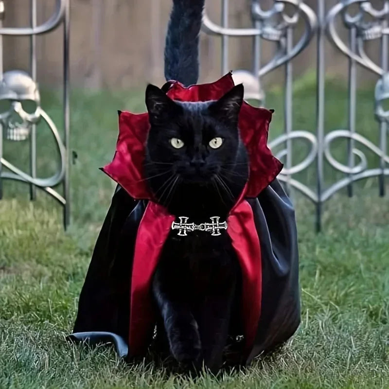 A black cat sitting on grass wearing the red and black vampire cape
