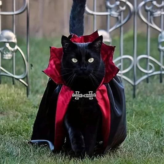 A black cat sitting on grass wearing the red and black vampire cape