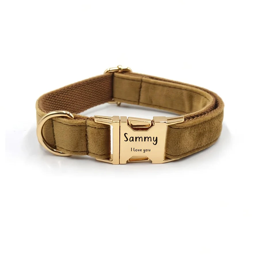 The collar shown from another angle