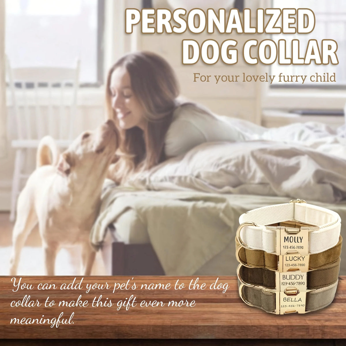 A spaniel wearing the collar outdoors