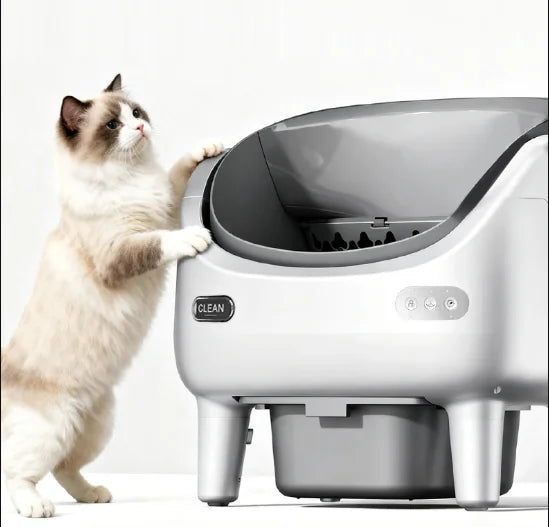A cat stepping into the open-top litter box