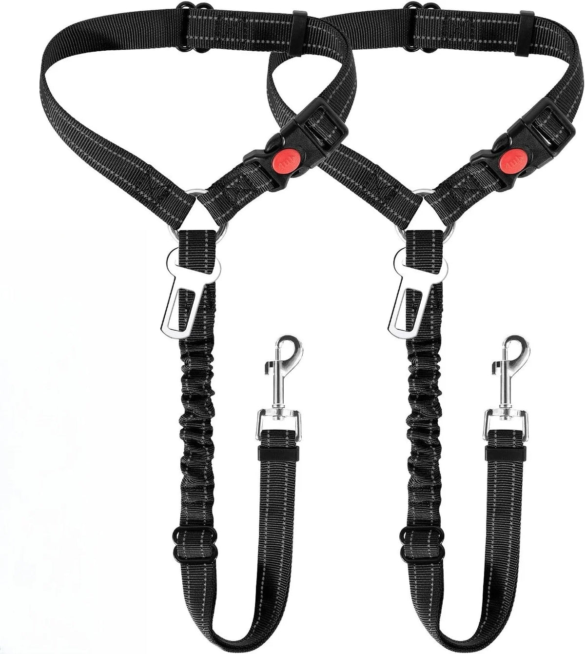 The pair of restraints laid out
