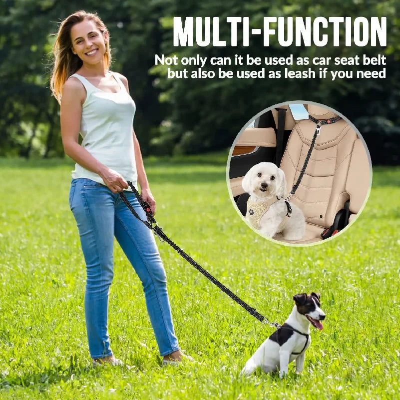 A woman walking a dog using the restraint as a lead