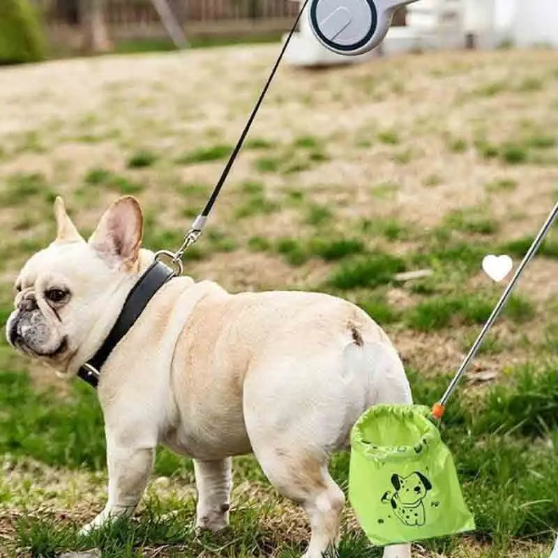 French bulldog on a lead with the scooper holding a green bag beside it