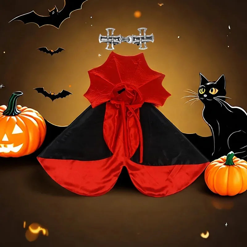 The vampire cape laid out with pumpkins and bats around it