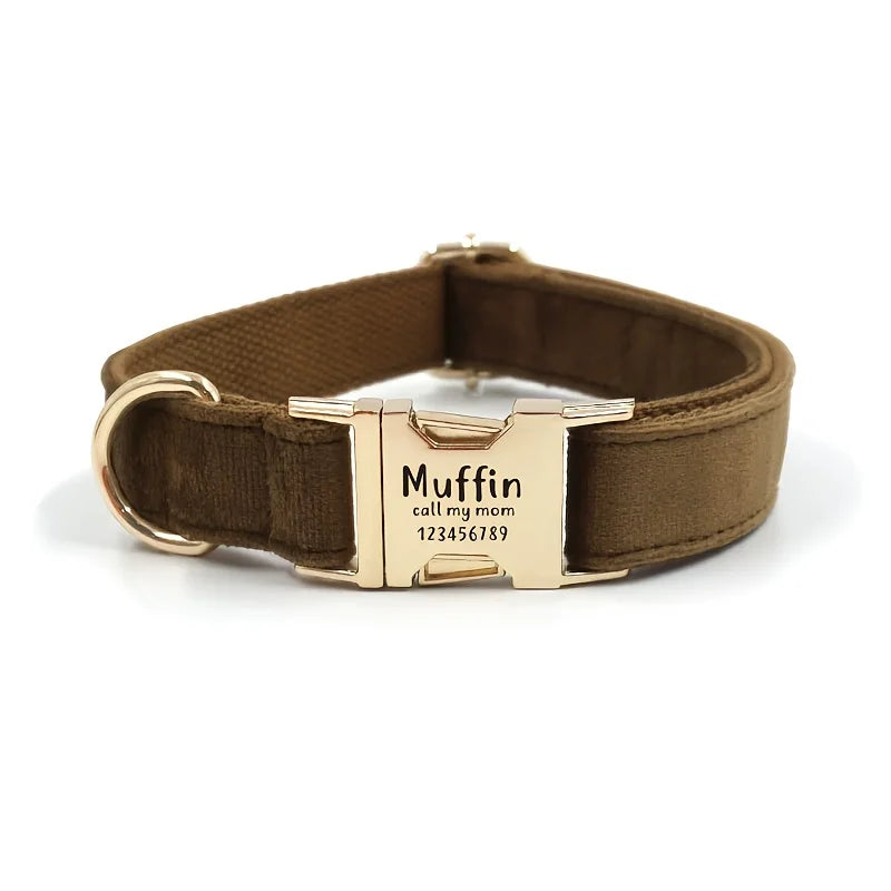 The cream collar with an engraved buckle