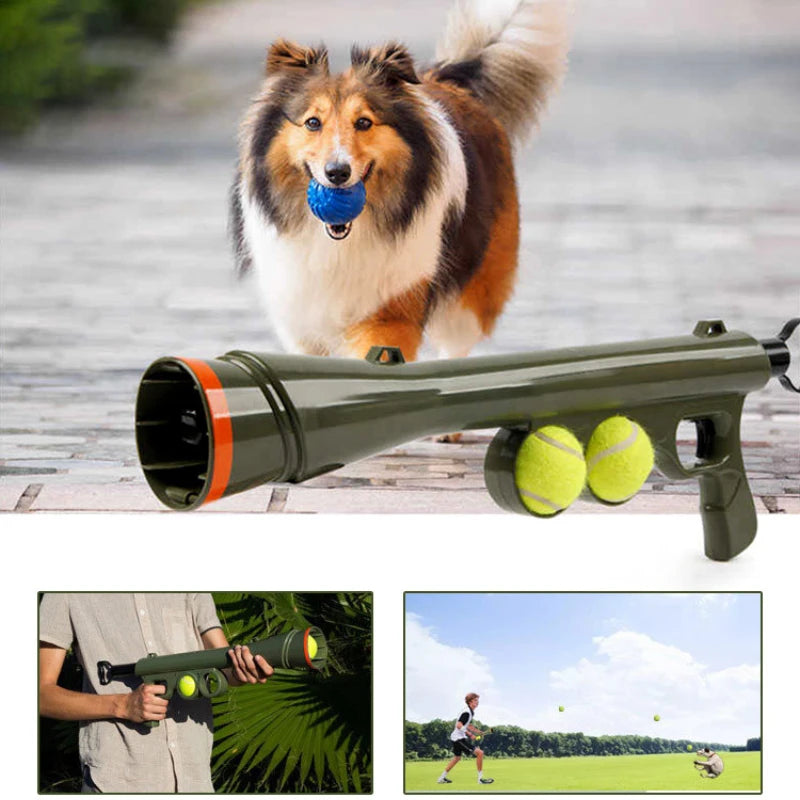 Sheltie running toward the launcher lying on the ground