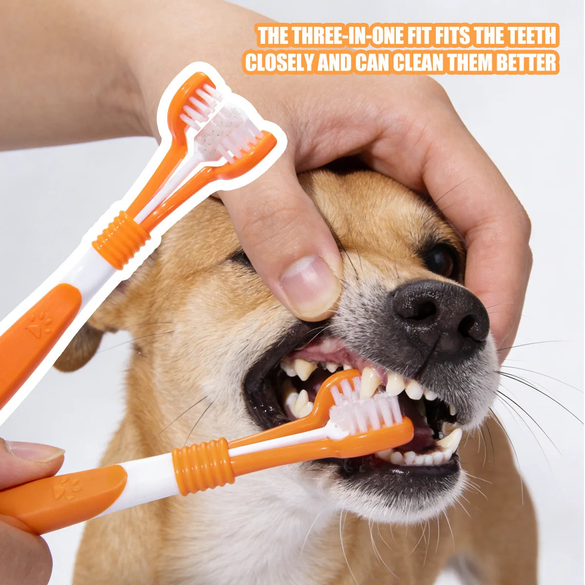 Owner brushing a dog's teeth with the orange three-sided toothbrush