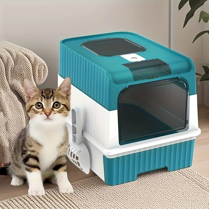 The teal version with a cat sitting in front