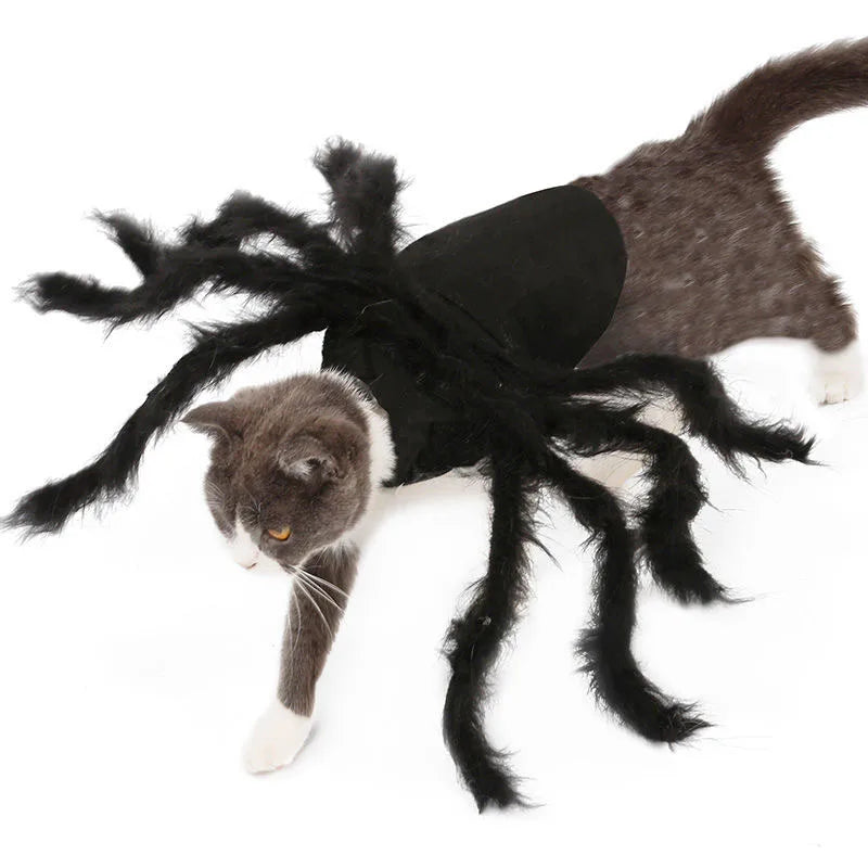 A cat walking in the tarantula costume, seen from the side