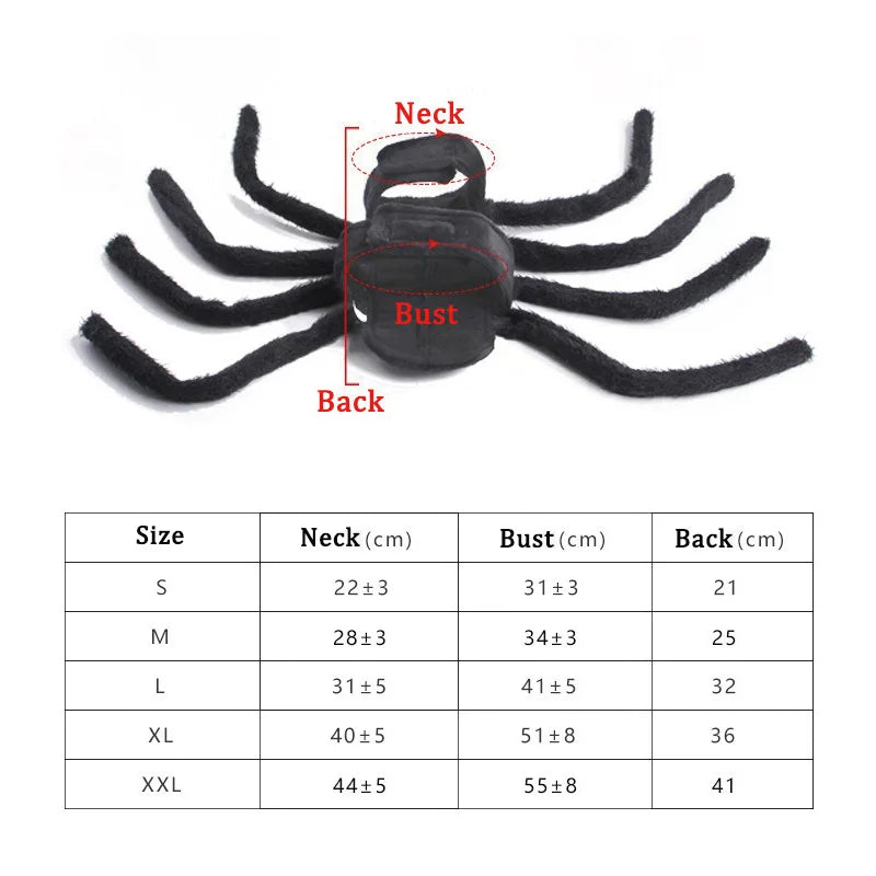 Size guide showing where to measure neck, chest and back