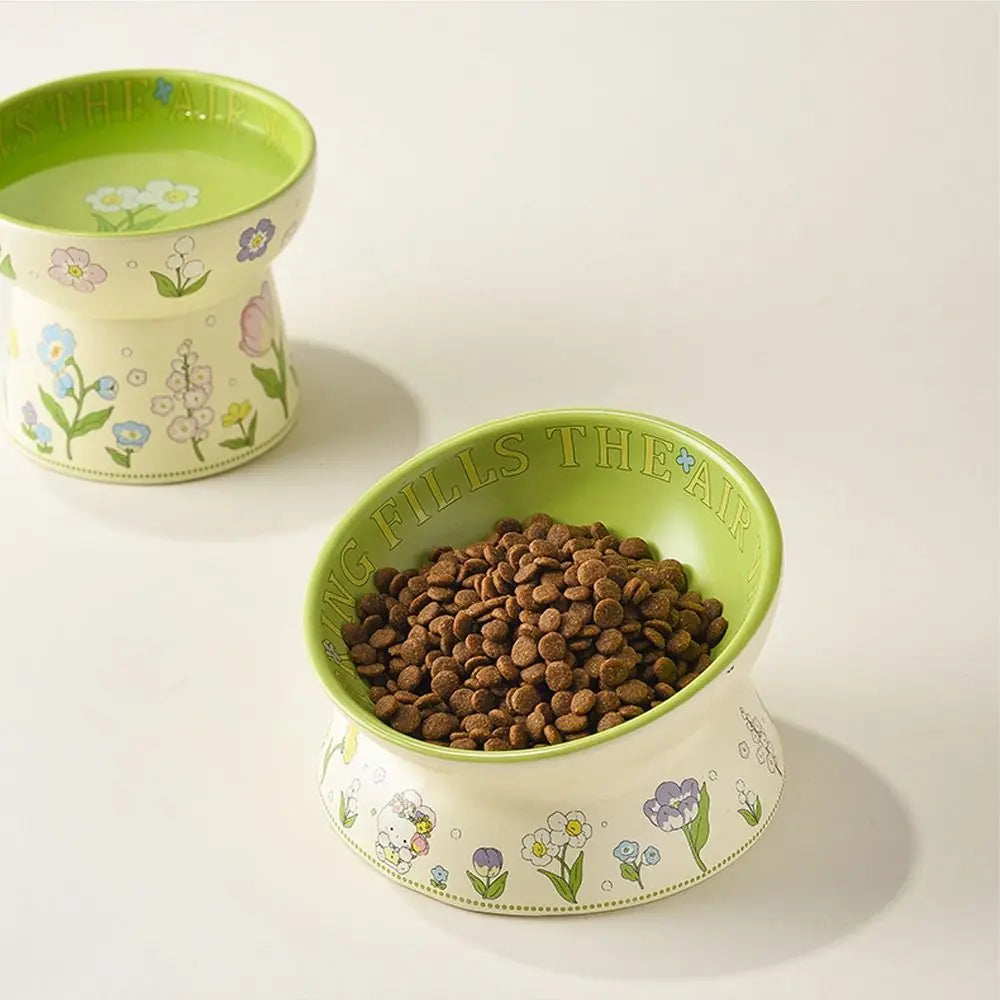 Floral ceramic bowl filled with dry food beside a smaller bowl