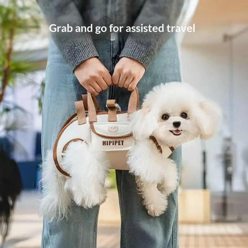 Person holding a small white dog in the carrier with both hands