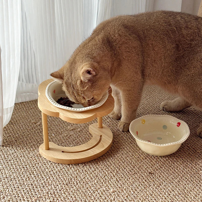 Cat eating from a bowl raised in the wooden stand