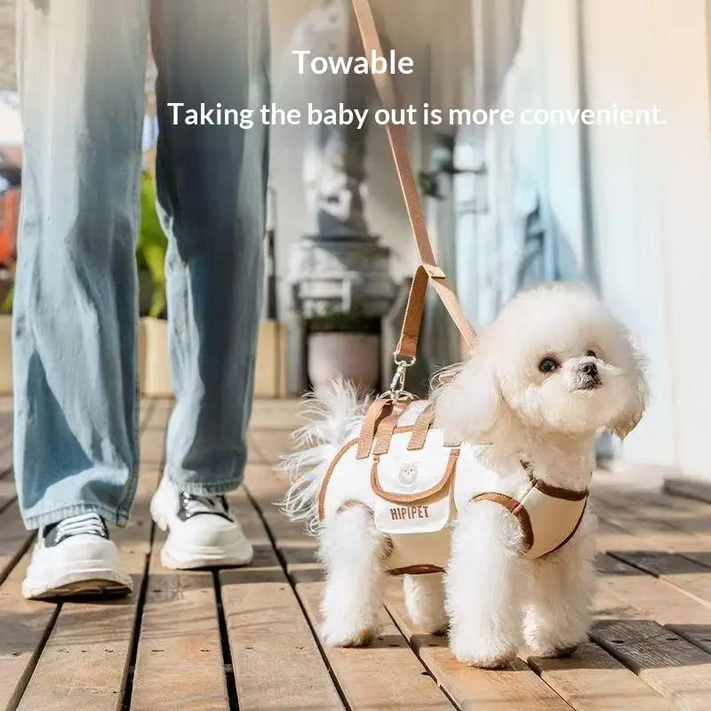 A small dog standing on decking wearing the carrier as a body harness