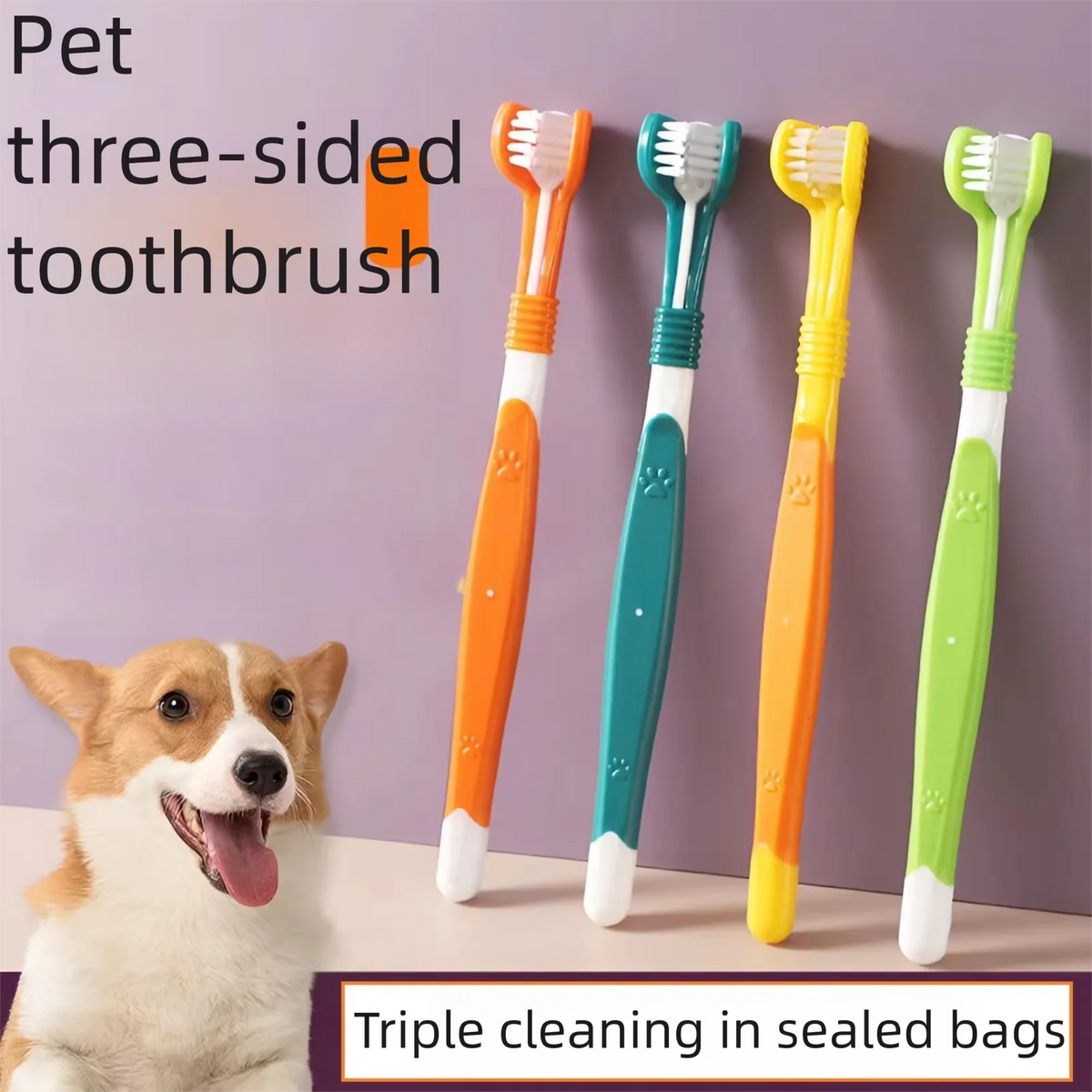 The four colours standing in a row beside a corgi