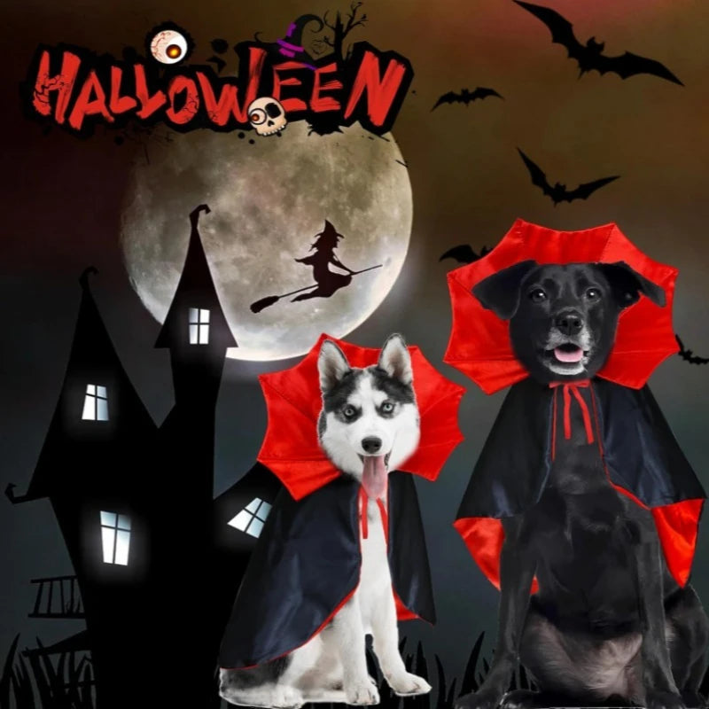 A husky and a black dog in vampire capes under a full moon