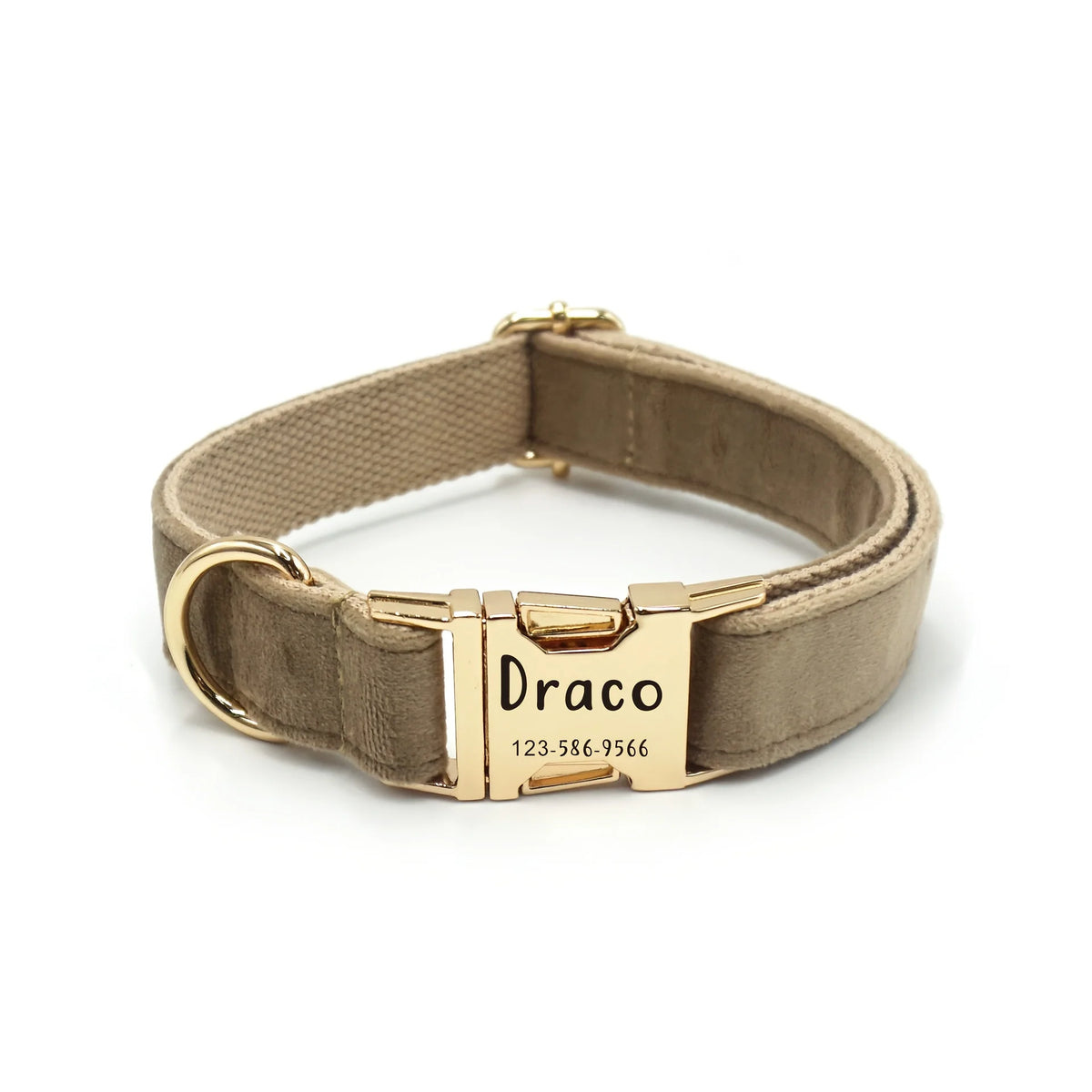 The brown collar with an engraved buckle