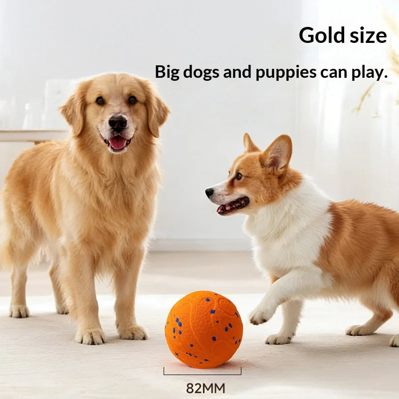 Golden retriever and corgi looking at the orange ball, marked 82 mm across