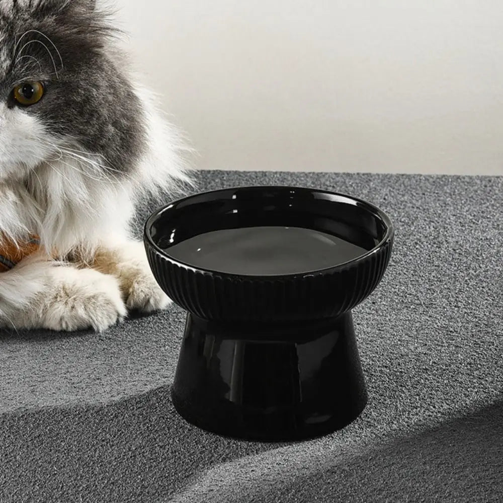Grey cat looking at a black fluted pedestal bowl