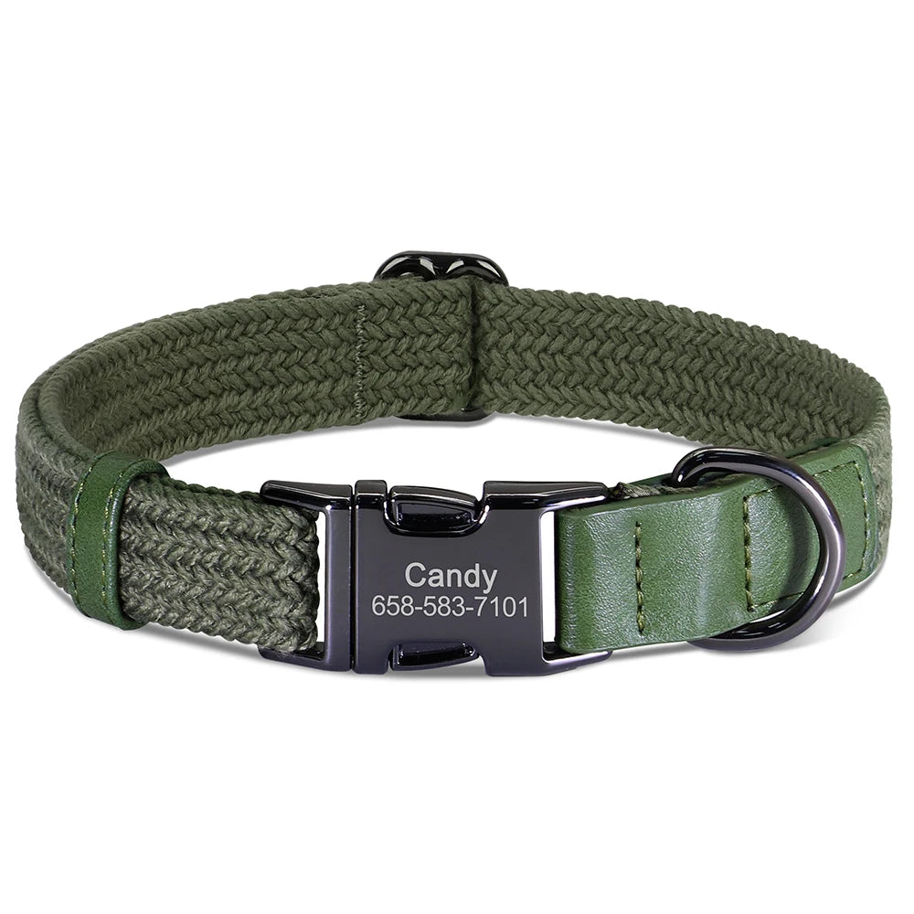 Close-up of the olive collar showing the name and number engraved on the metal buckle