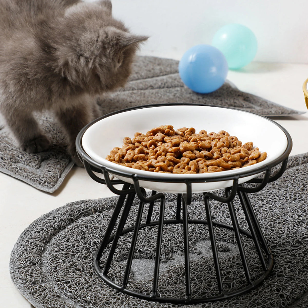 Fluffy grey cat eating from an elevated dish