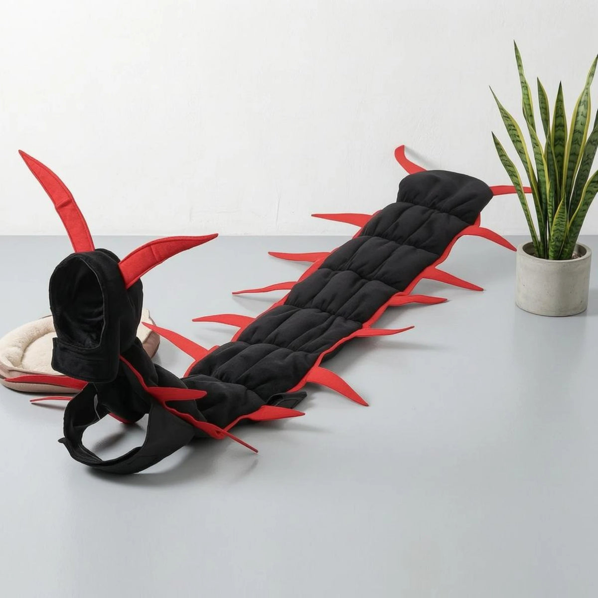 The centipede costume laid flat on the floor