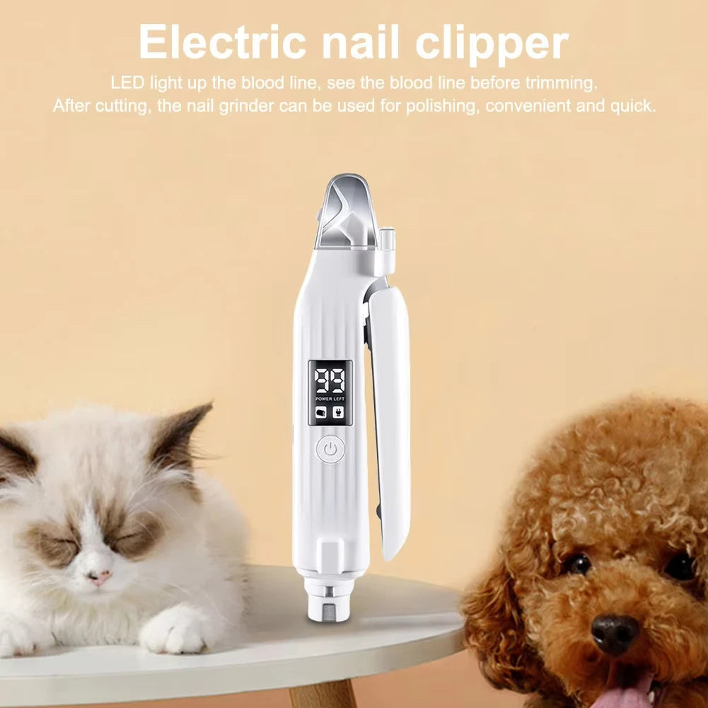 The tool on a table with a cat and a poodle behind it