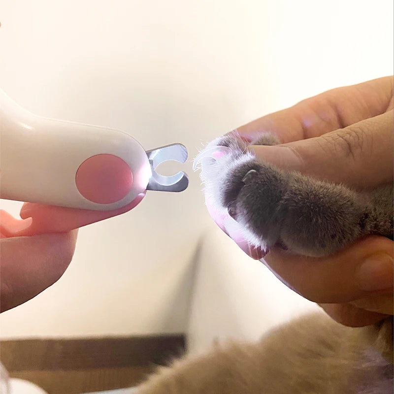The clipper held against a dog's claw with the light shining through