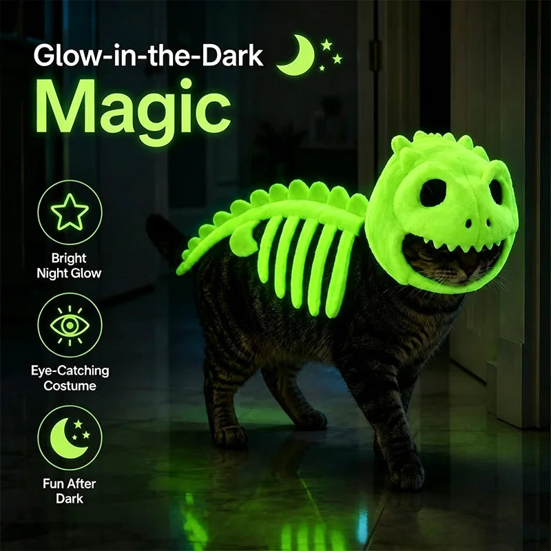 The round-skull costume glowing green on a cat in the dark